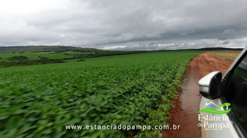 DOS EÓLICOS VIRA P FAZENDA_Moment.00_02_32_09.Quadro159_069d7a7f70a5b004f21a28805065957e5b6c9c20.jpg